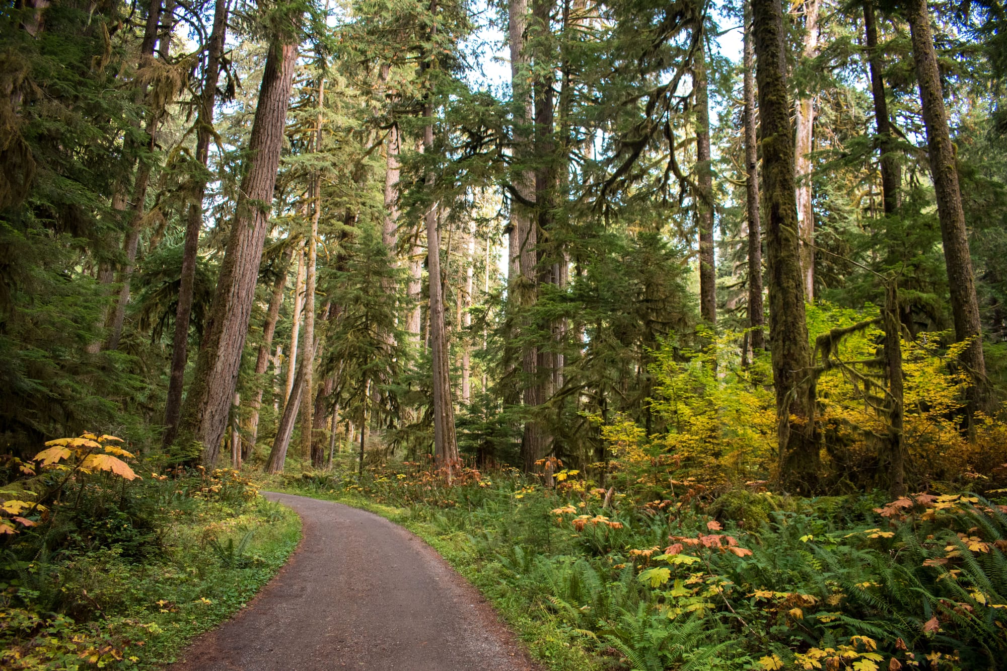 Ian's Anti Instagram