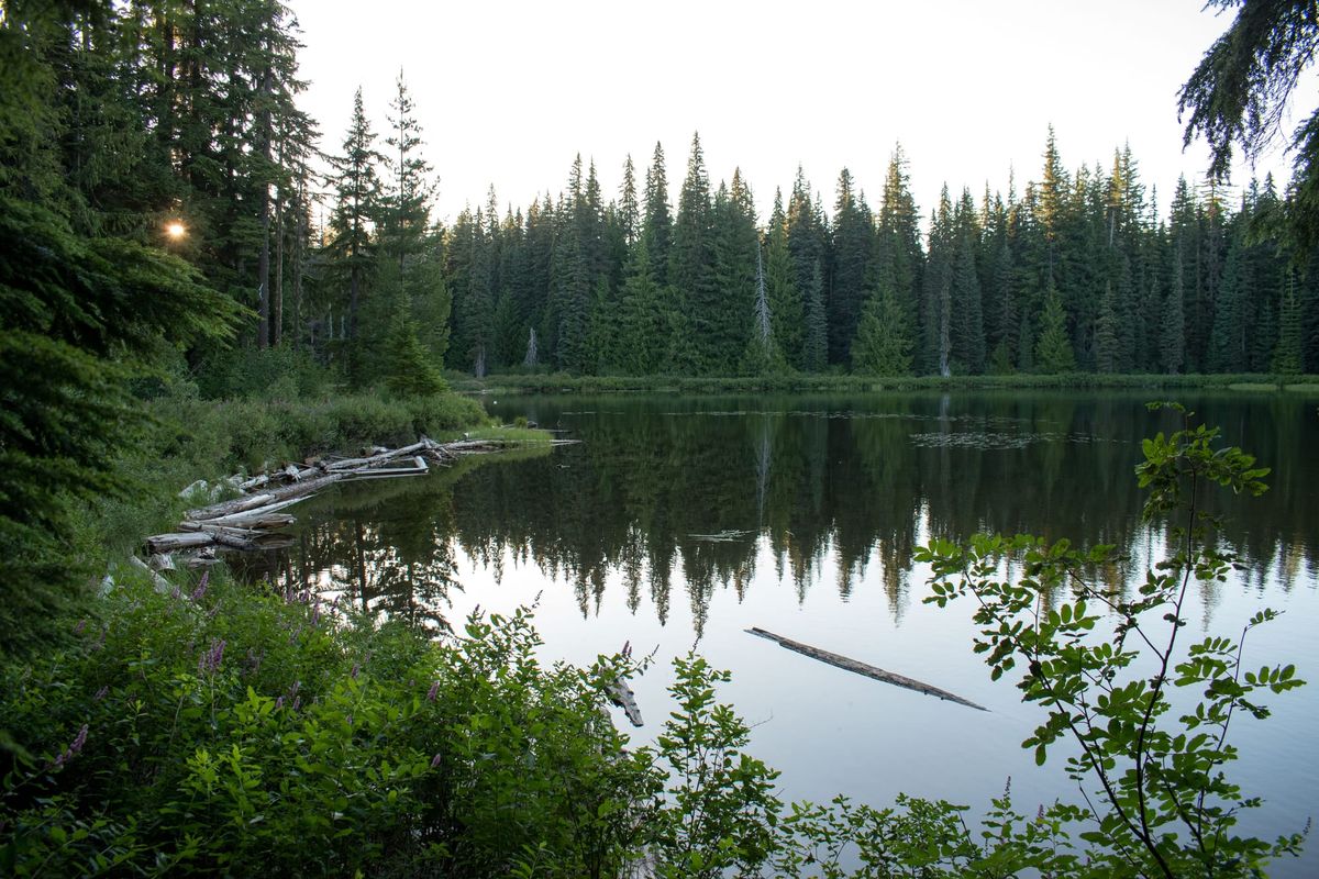 The Great Giff Pinch