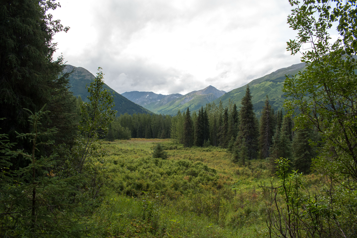 Alaska, you beauty