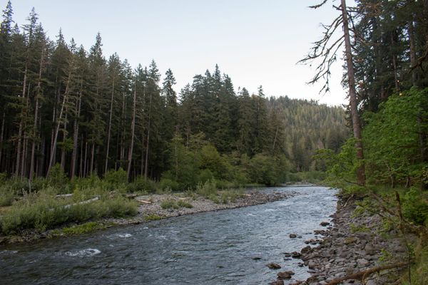 Maybe the Best Place