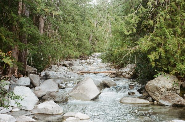 Summer Film Photo Dump