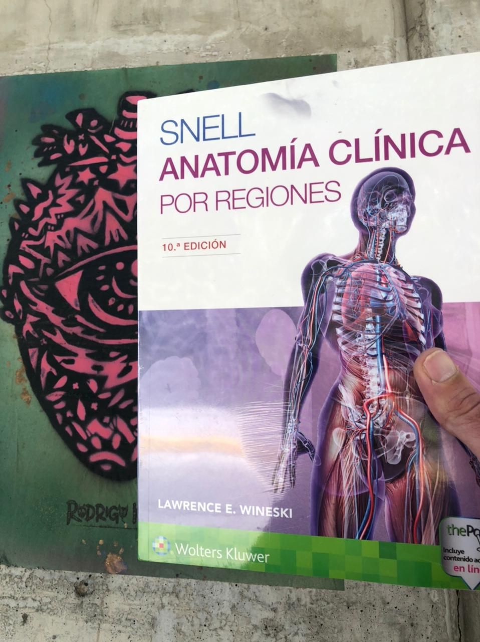 Snell. Anatomía clínica por regiones