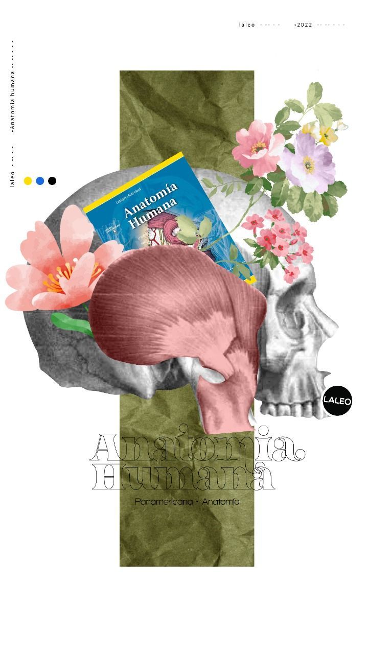 Anatomía humana 2 tomos