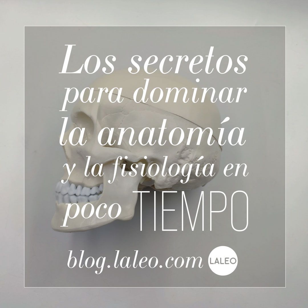Los secretos para dominar la anatomía y la fisiología en poco tiempo