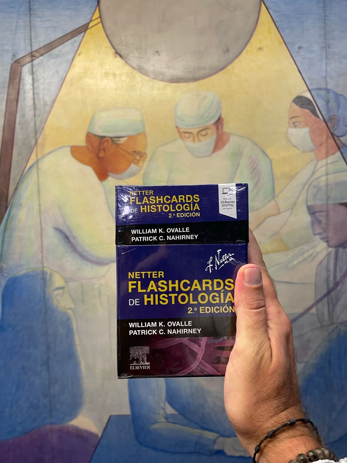 Netter. Flashcards de histología