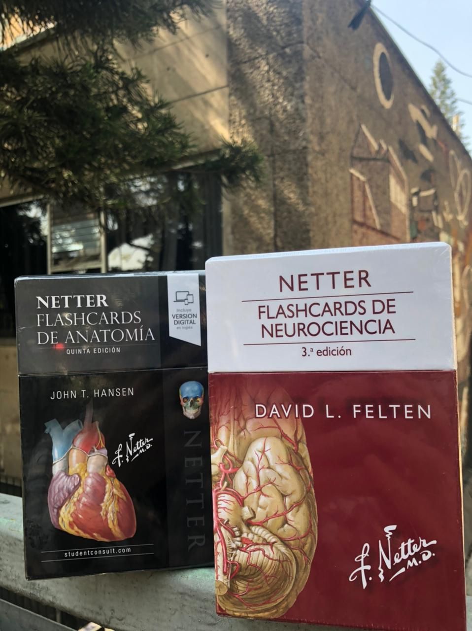 Netter. Flash cards de anatomía