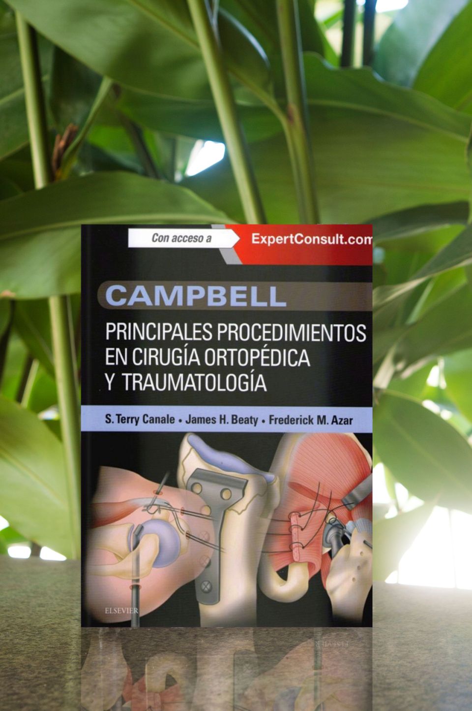Campbell. Principales procedimientos en cirugía ortopédica y traumatología