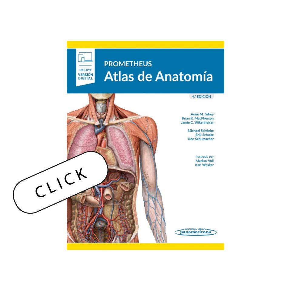 Prometheus. Atlas de Anatomía