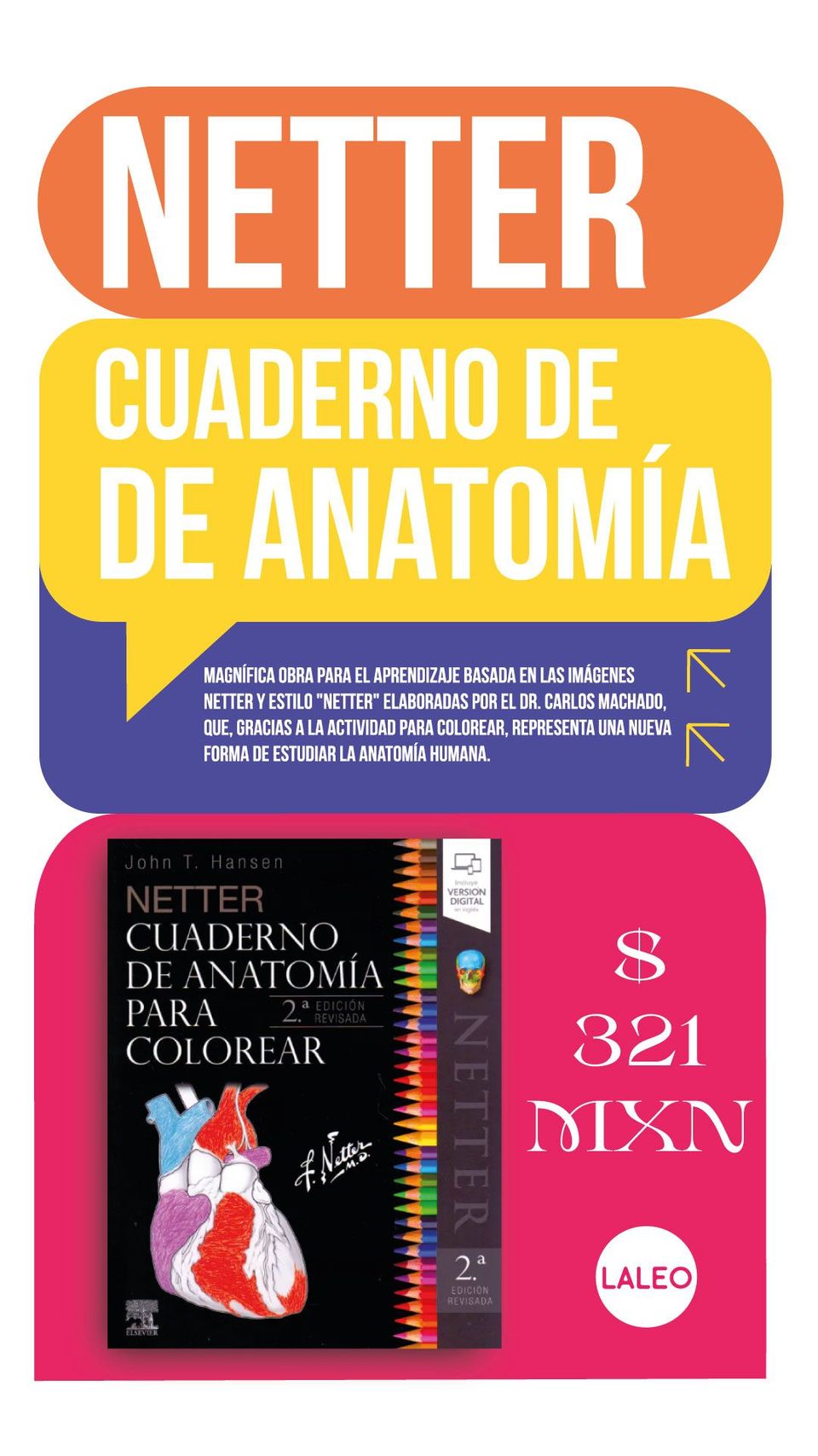 Netter Cuaderno de anatomía para colorear