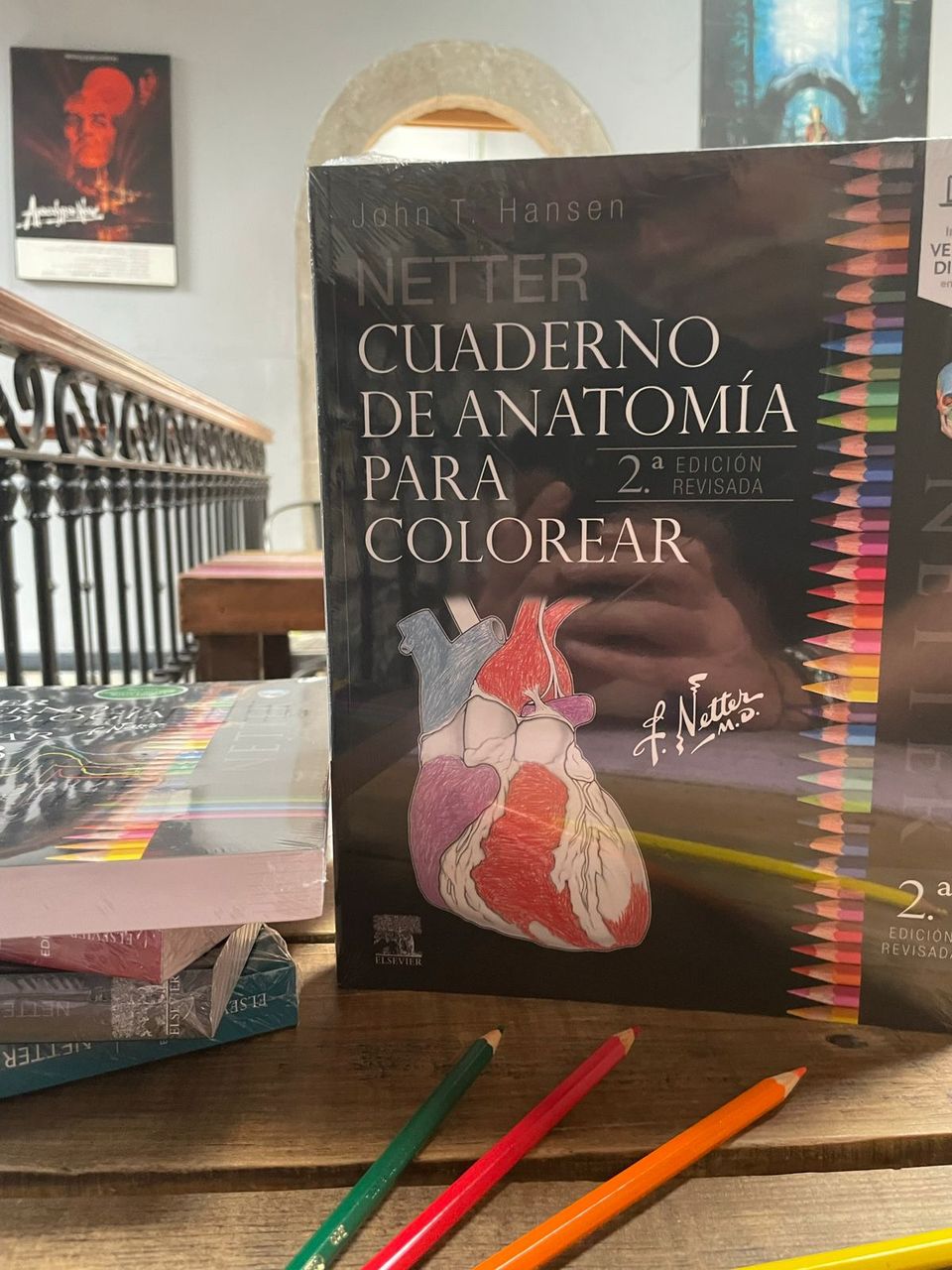 Netter Cuaderno de anatomía para colorear