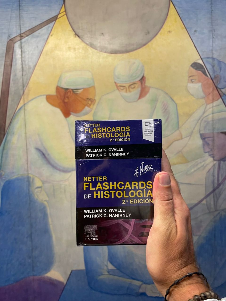 Netter. Flashcards de histología
