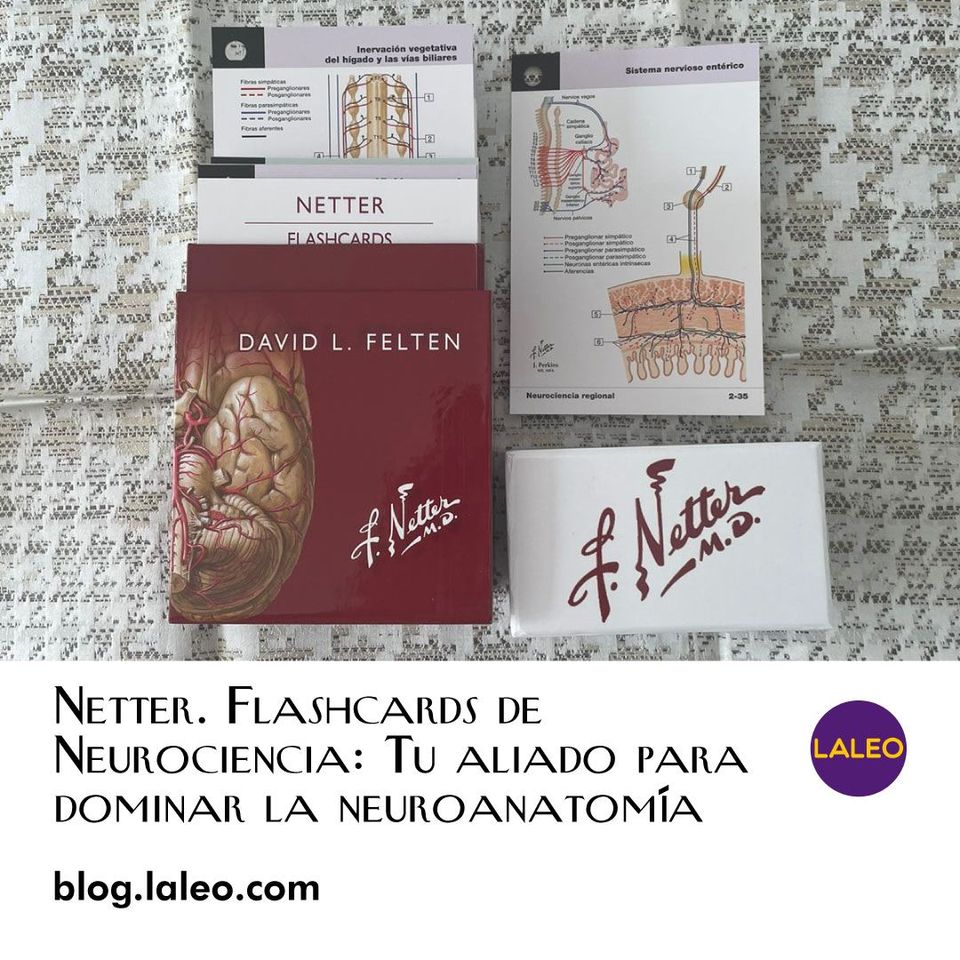 Netter. Flashcards de Neurociencia: Tu aliado para dominar la neuroanatomía