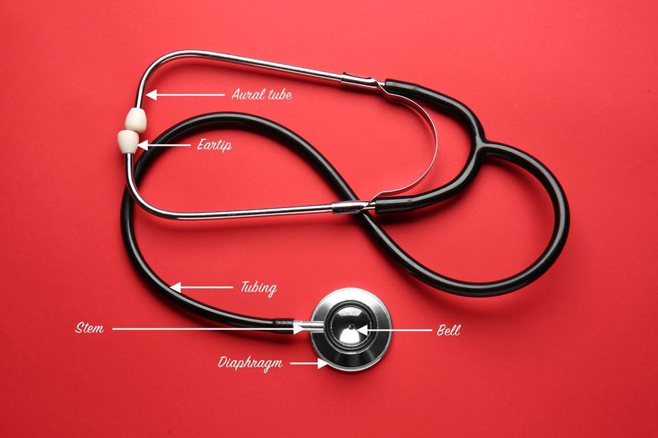 La anatomía de un Estetoscopio Littmann