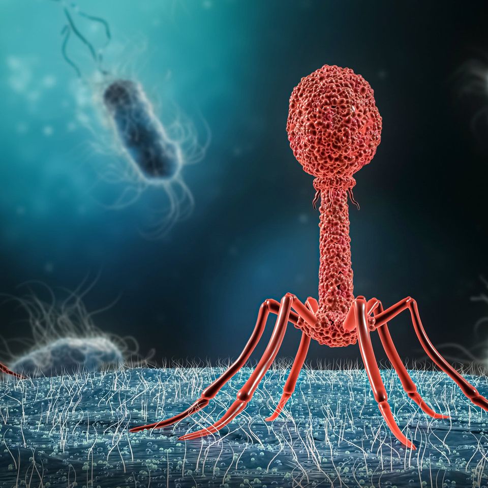 Los Virus como Aliados: Su Potencial Médico en Terapia Fágica, Viroterapia y Retrovirus Endógenos