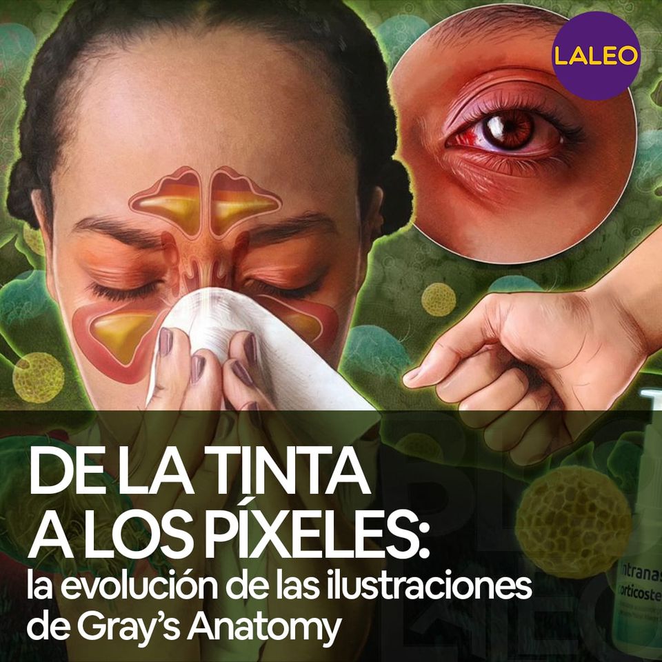 De la tinta a los píxeles: la evolución de las ilustraciones de Gray’s Anatomy