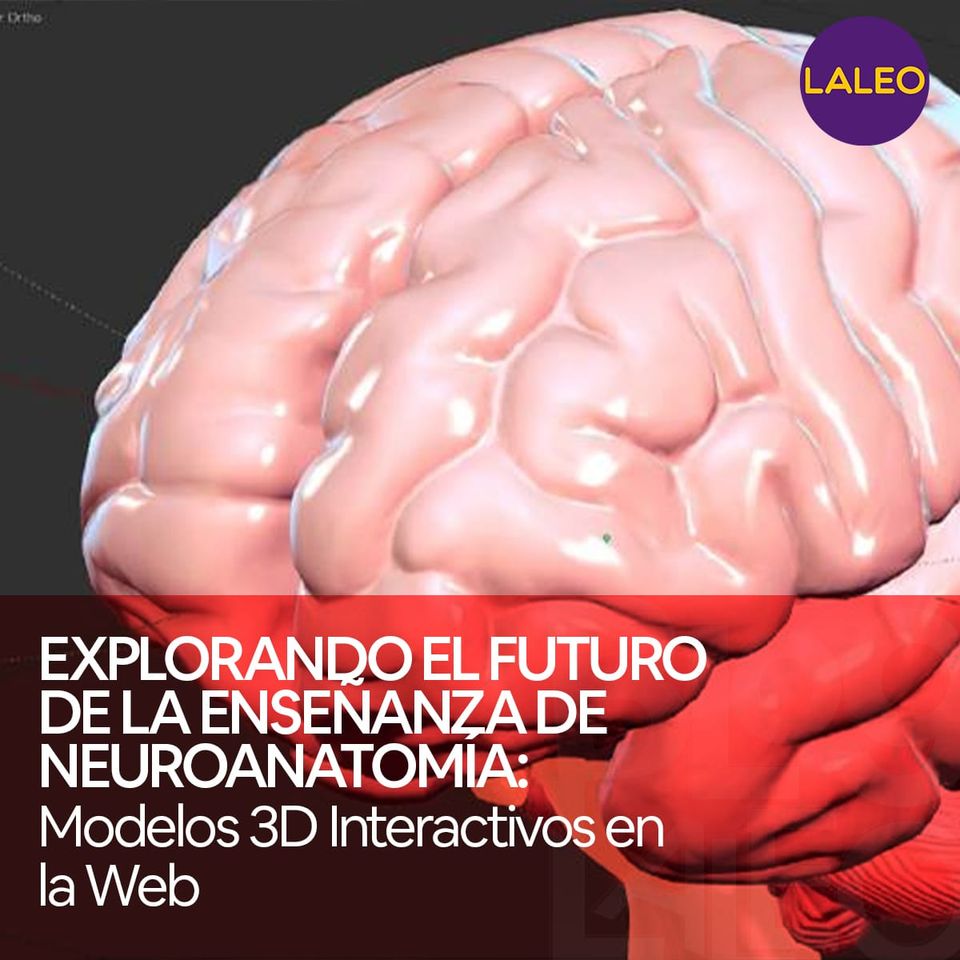 Historia de los Modelos Anatómicos: De las Figuras de Cera a la Impresión 3D