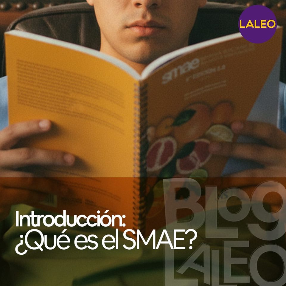 📘 Introducción: ¿Qué es el SMAE?