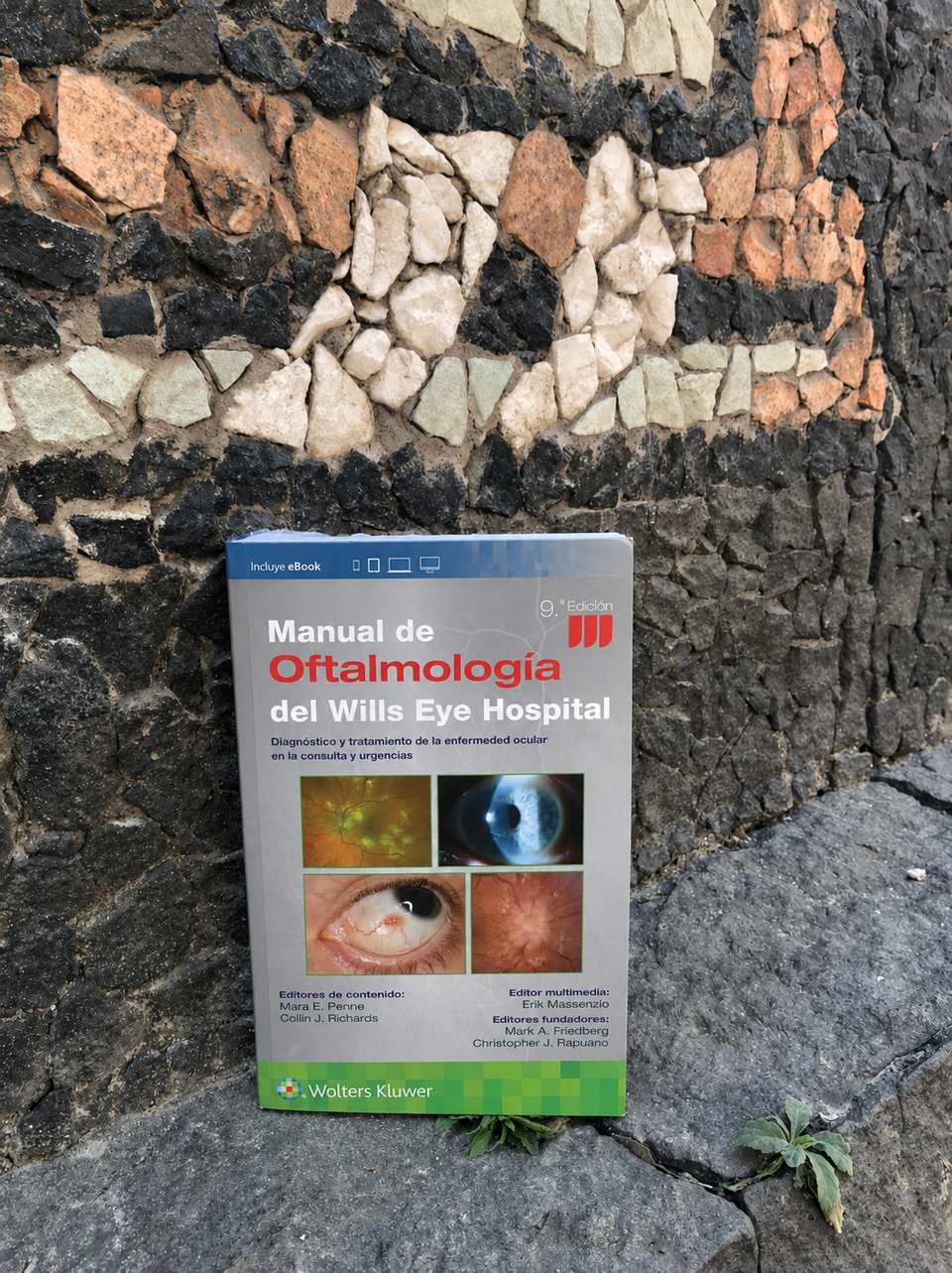 Manual de Oftalmología del Wills Eye Hospital 9.ª Edición