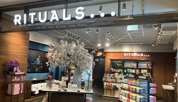 Expertenanalyse: Testing im Fokus