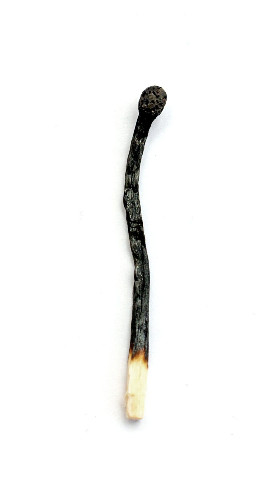 Vingada pelo tempo