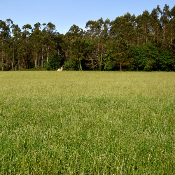 Ler a paisagem para enfrentar o clima