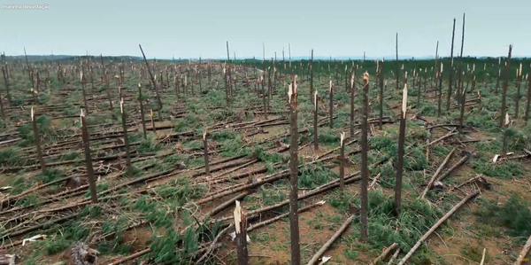 A catástrofe ambiental como “oportunidade de investimento”