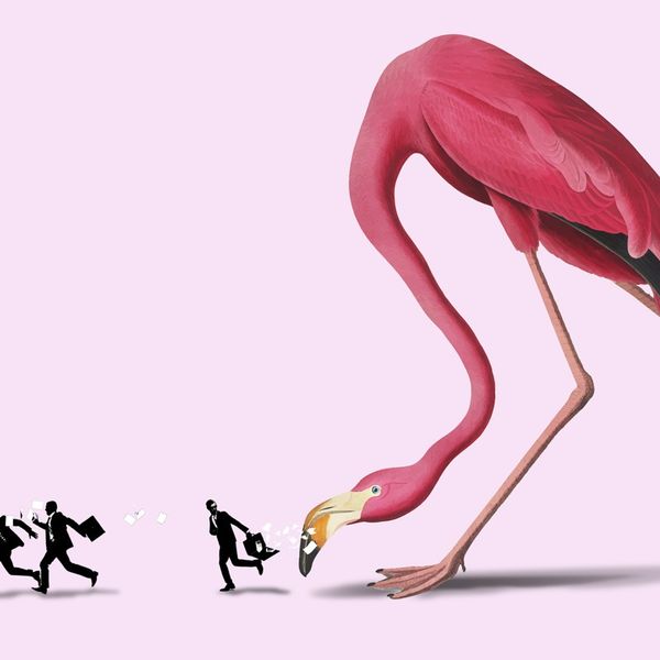 “Nova Albânia”: o levantamento social dos Flamingos