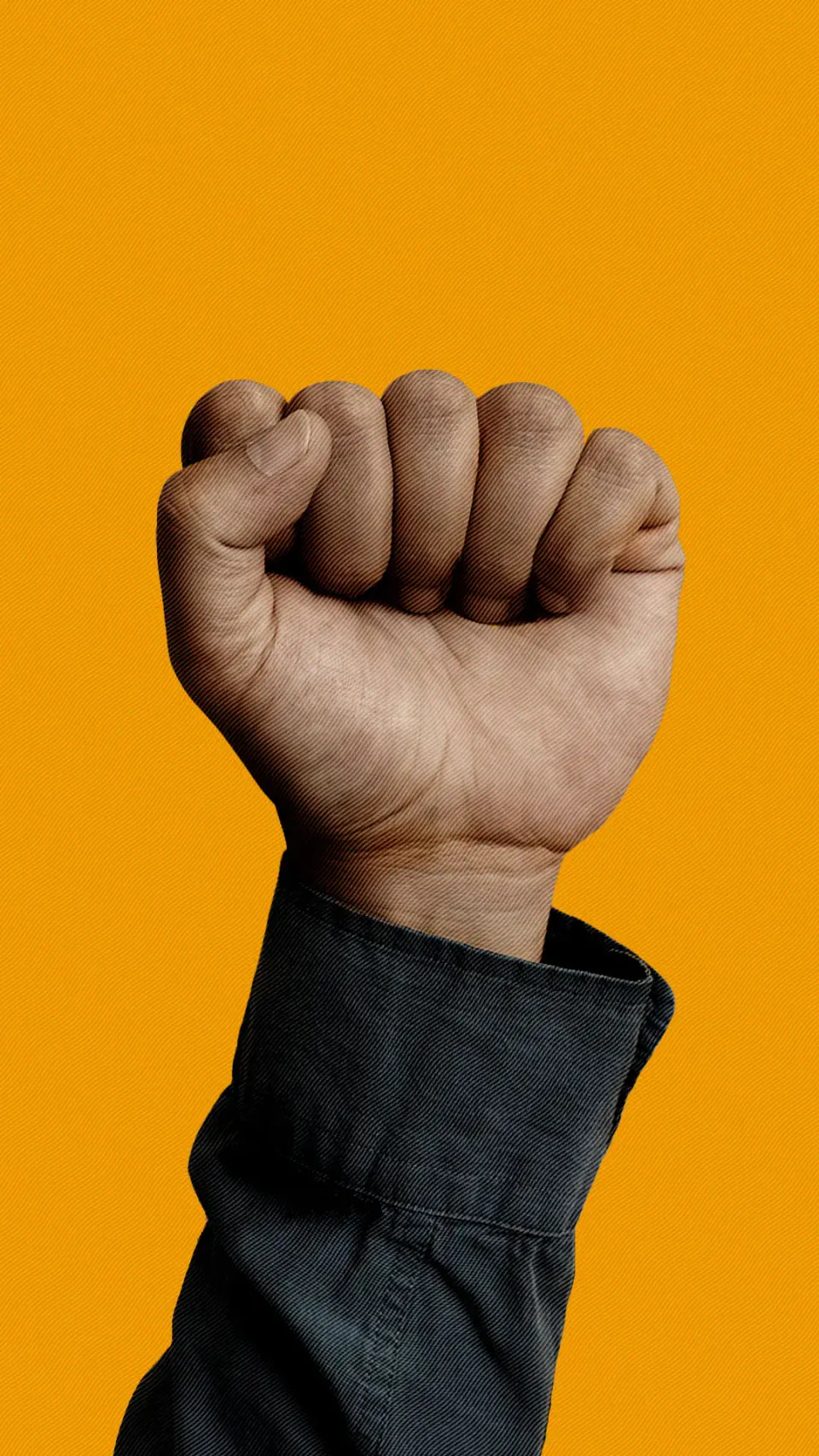 A IA e a expropriação do conhecimento