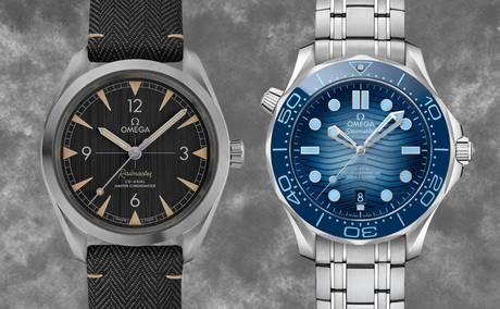Railmaster Vs Seamaster: our Complete Guide - Cheap Luxury Shop

