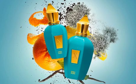 Best Xerjoff for Men: The Allure of Xerjoff Erba Pura