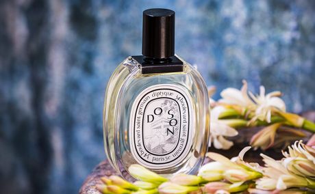What Is Fragrance, Really? A Beginner's Complete Guide