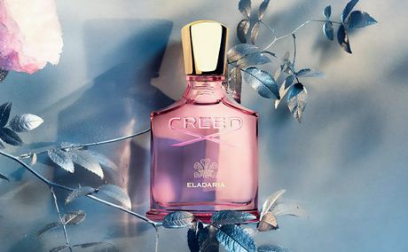 The Best Creed Fragrances for Every Season