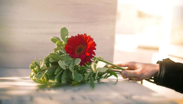 Las flores y su lenguaje propio