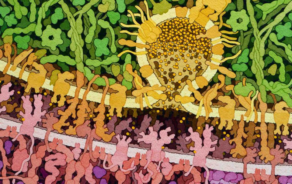 2026 at Tomorrow Bio