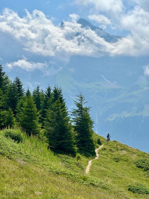 Chablais 300 is now Free