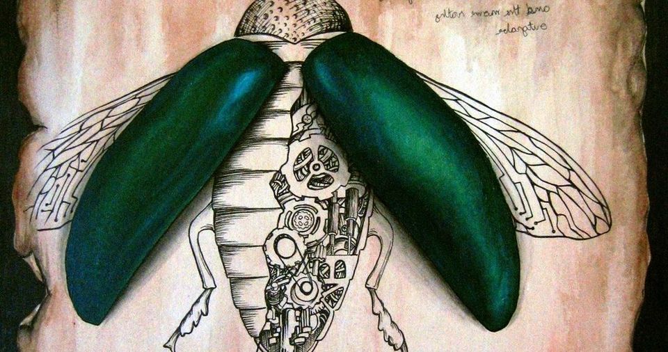 The dark side of bug bounties