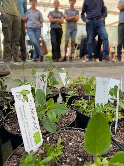 Leren Stekken bij De Hessenhof