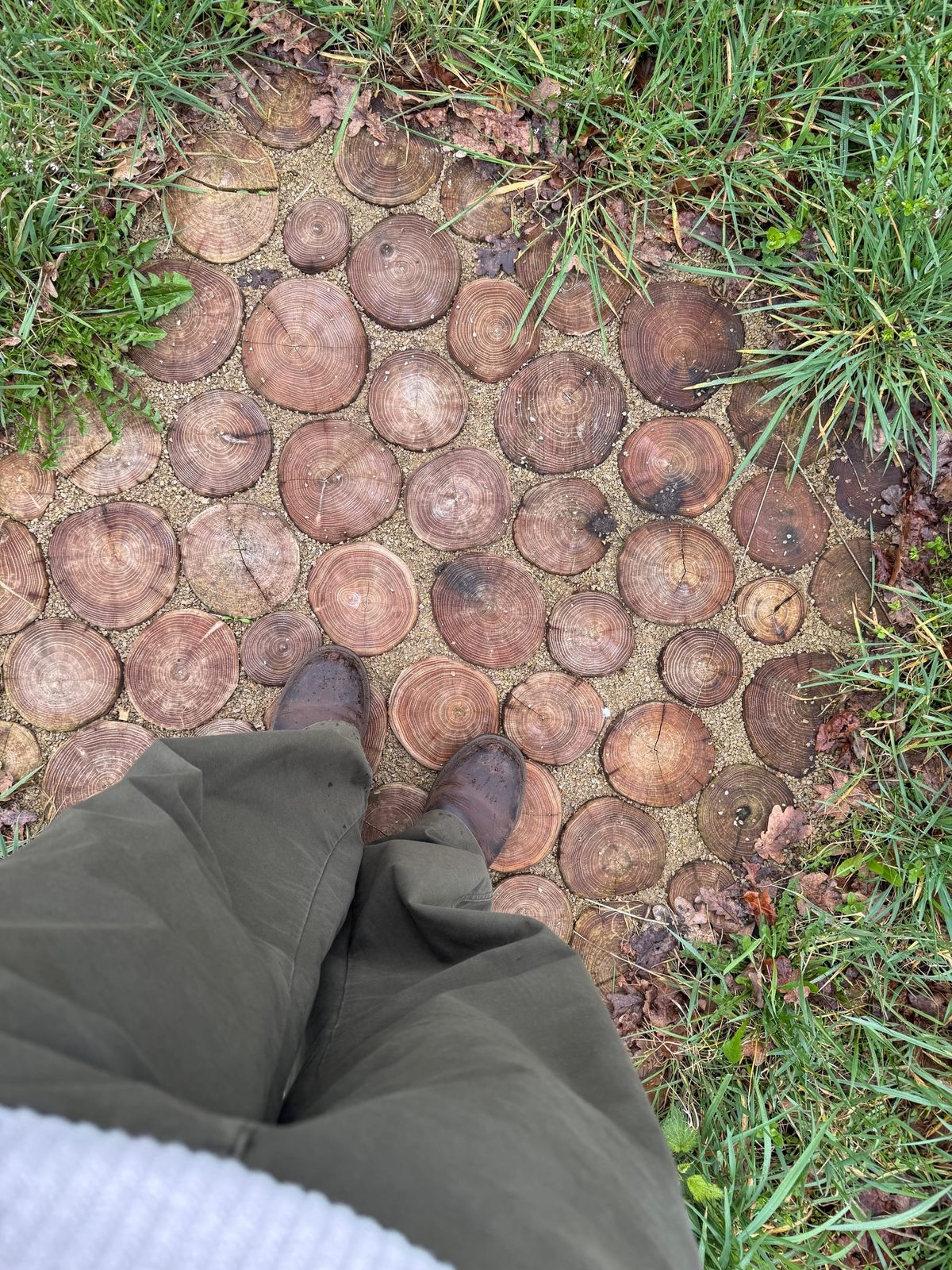 De meest gemaakte fouten bij het indelen van een tuin