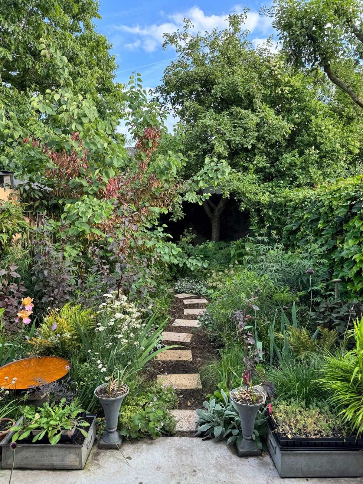 Onderhoudsvriendelijke tuin