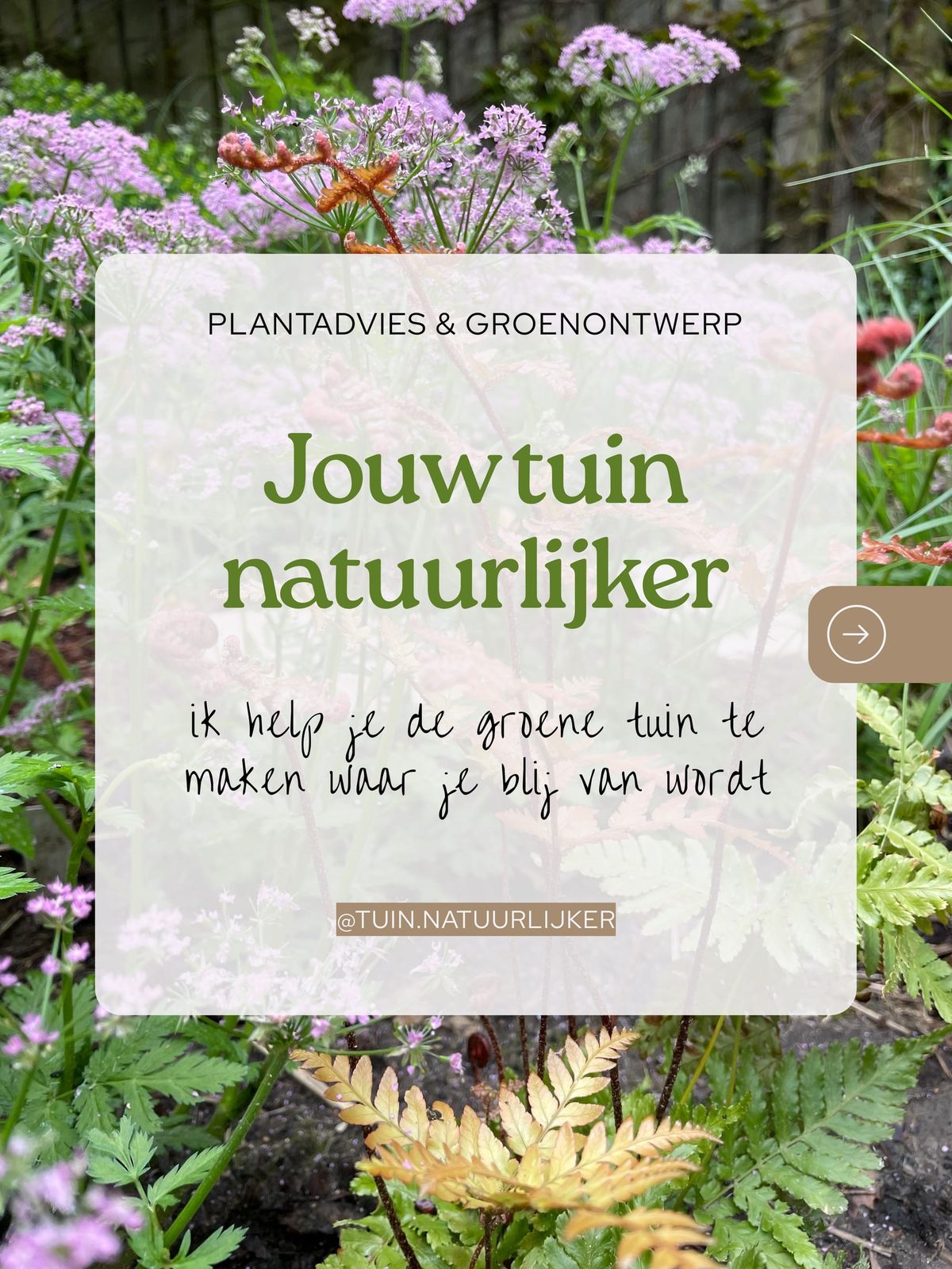 Plant- en tuinadvies