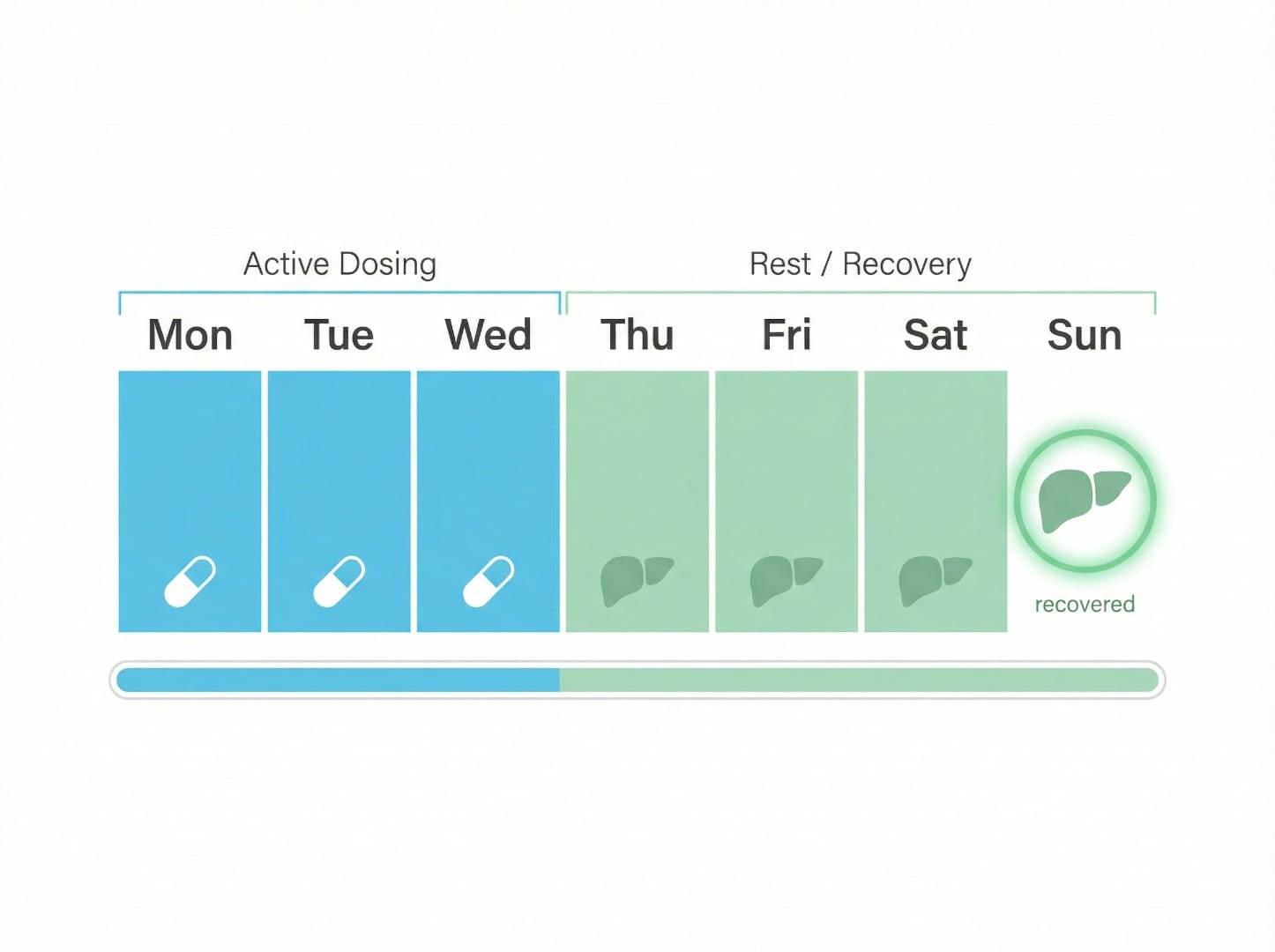 3 days on 4 days off fenbendazole dosing schedule showing active dosing Monday through Wednesday and liver recovery Thursday through Sunday