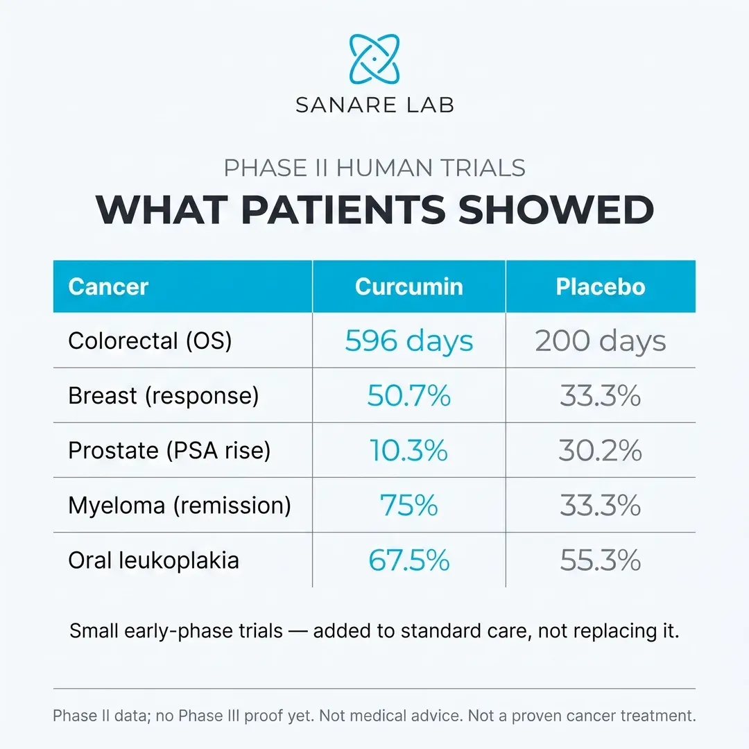 Curcumin Phase II human trial results vs placebo across colorectal, breast, prostate, myeloma and oral leukoplakia cancers - added to standard care (2026)