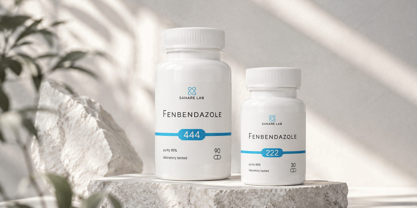 Fenbendazole Success Stories & Case Reports: What Remission Cases Show
