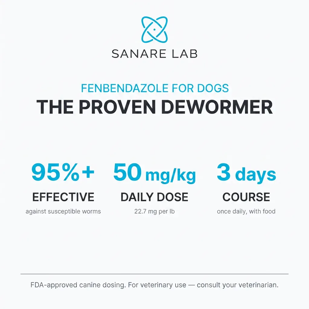 Fenbendazole for dogs overview infographic — 95% effective dewormer, 50 mg/kg daily dose, 3-day treatment course, FDA-approved canine antiparasitic 2026