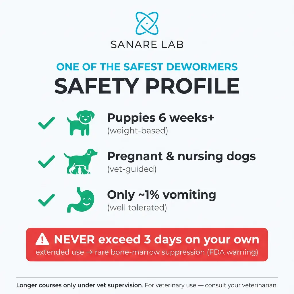 Fenbendazole safety profile infographic for dogs — safe for puppies 6 weeks and older, pregnant and nursing dogs, only 1% vomiting rate, FDA warning on extended use 2026