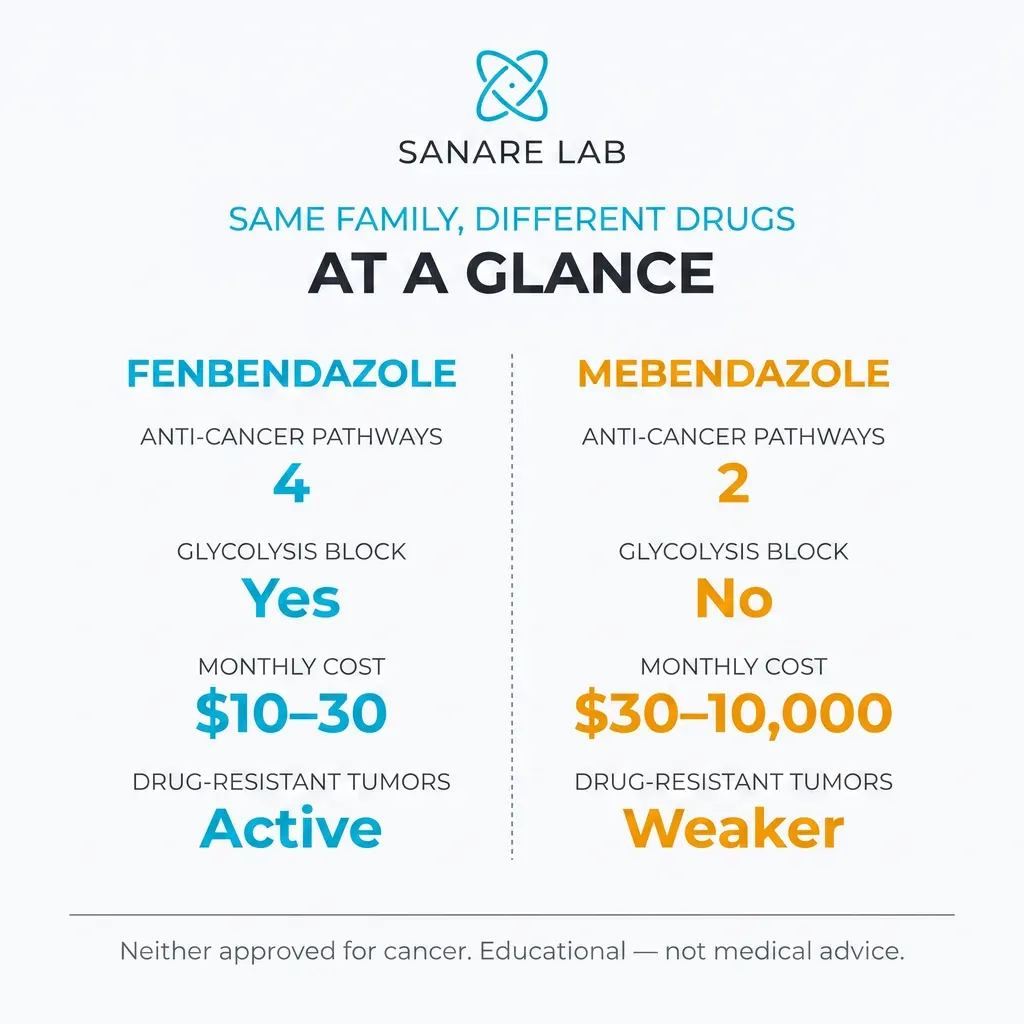 Fenbendazole vs mebendazole at a glance: 4 versus 2 anti-cancer pathways, glycolysis block, monthly cost and drug-resistant tumor activity compared