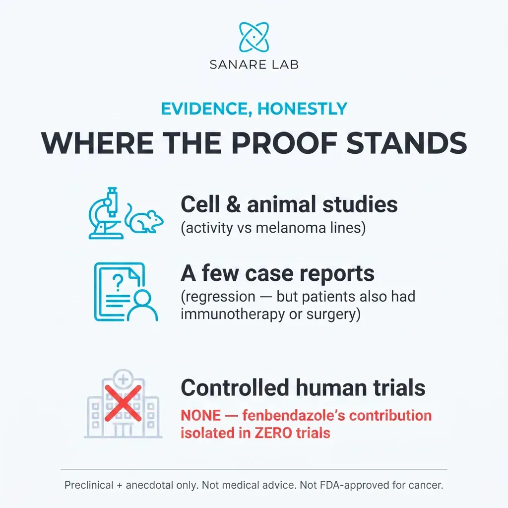 Fenbendazole melanoma evidence infographic: cell and animal studies and a few case reports, but zero controlled human trials isolate its contribution
