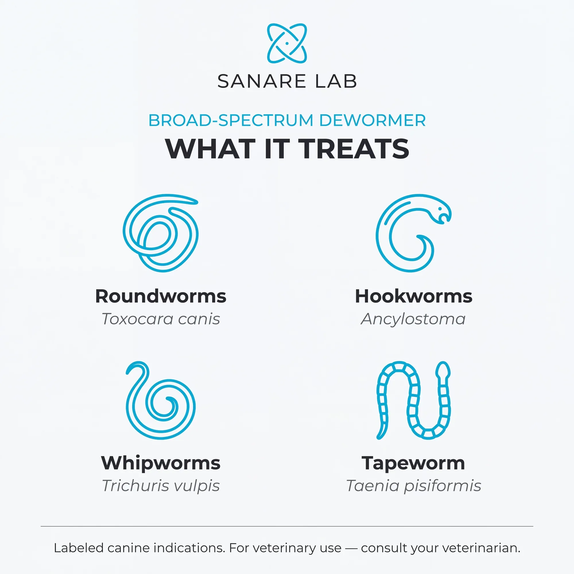Fenbendazole broad-spectrum dewormer treats roundworms Toxocara canis, hookworms Ancylostoma, whipworms Trichuris vulpis, and tapeworm Taenia pisiformis in dogs 2026