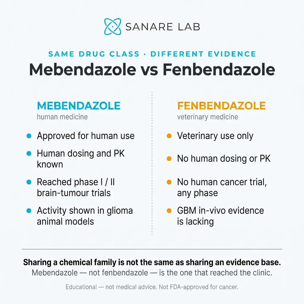 Mebendazole vs fenbendazole for glioblastoma: mebendazole is human-approved with early brain-tumour trials; fenbendazole is veterinary-only, no human data.