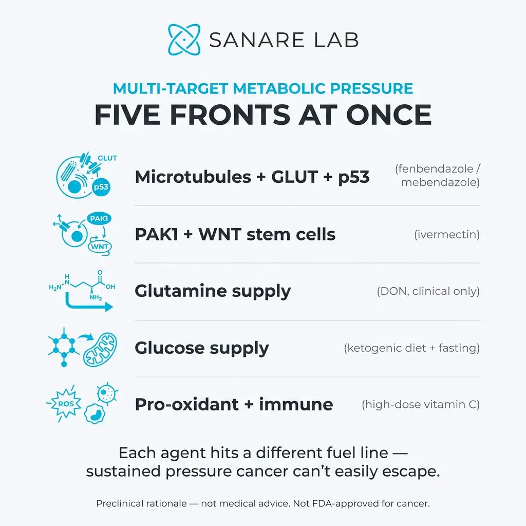 ISOM protocol multi-target infographic showing fenbendazole, mebendazole, ivermectin and DON applying metabolic pressure on five cancer fuel lines at once 2026